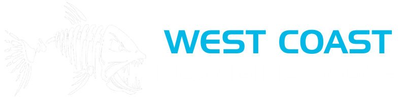 West Coast Plumbing and Gas Raglan